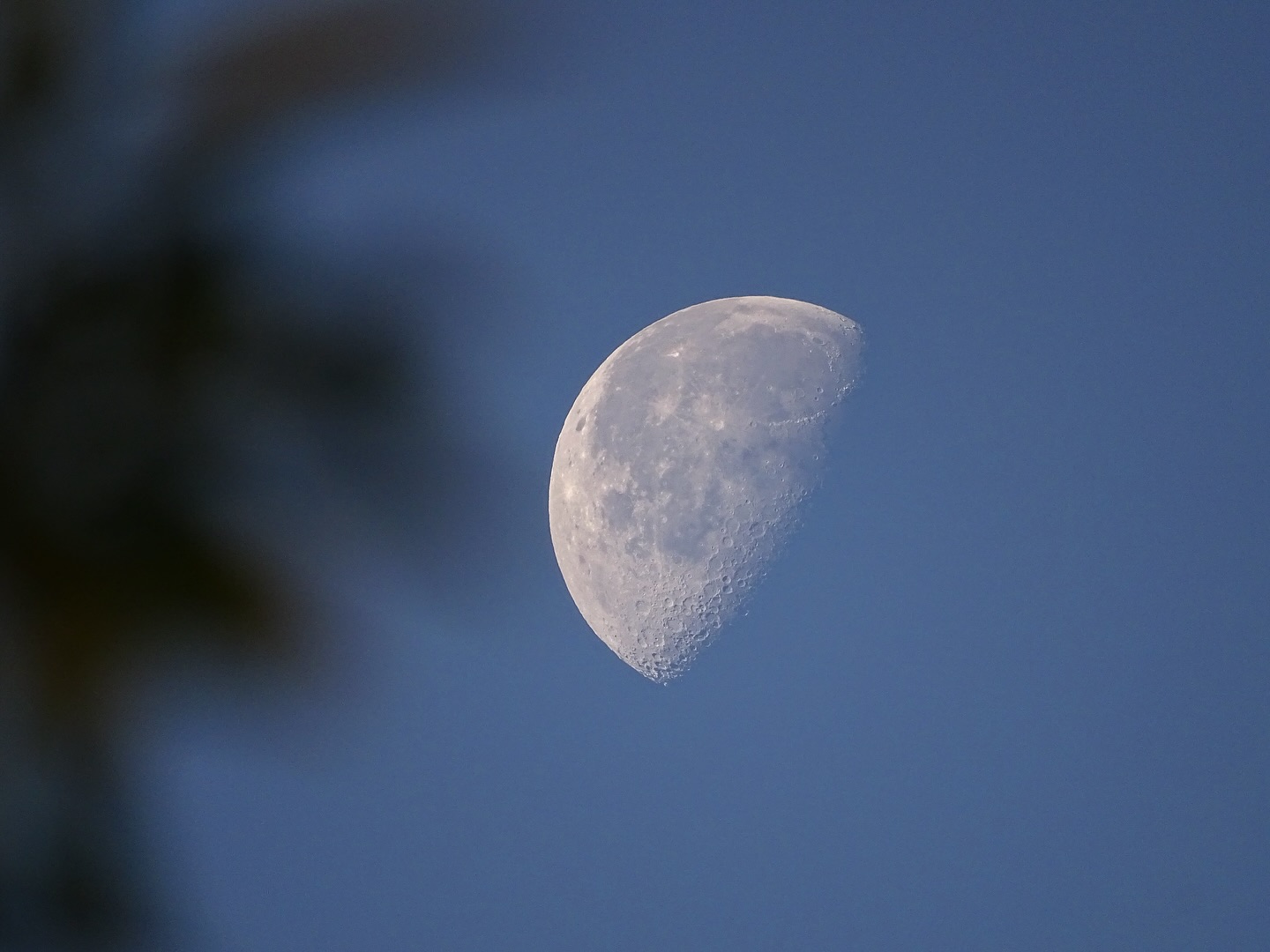Lune en plein jour au trois quart visible dans un ciel complètement bleu